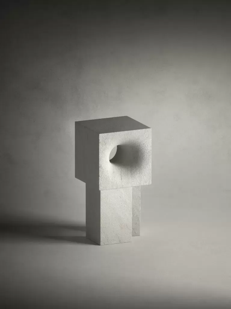 salvatori_home_assembly_self_yabupushelberg_1