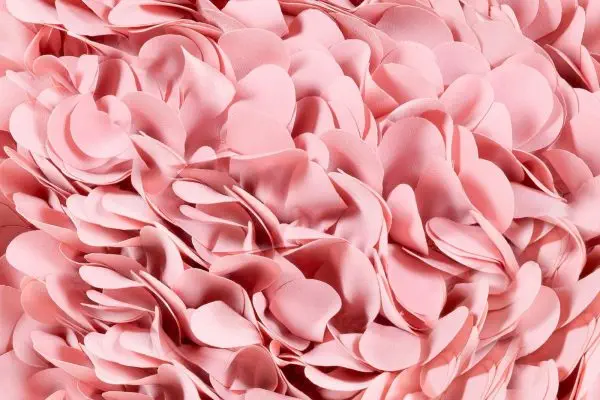 hortensia-chair-moooi-03