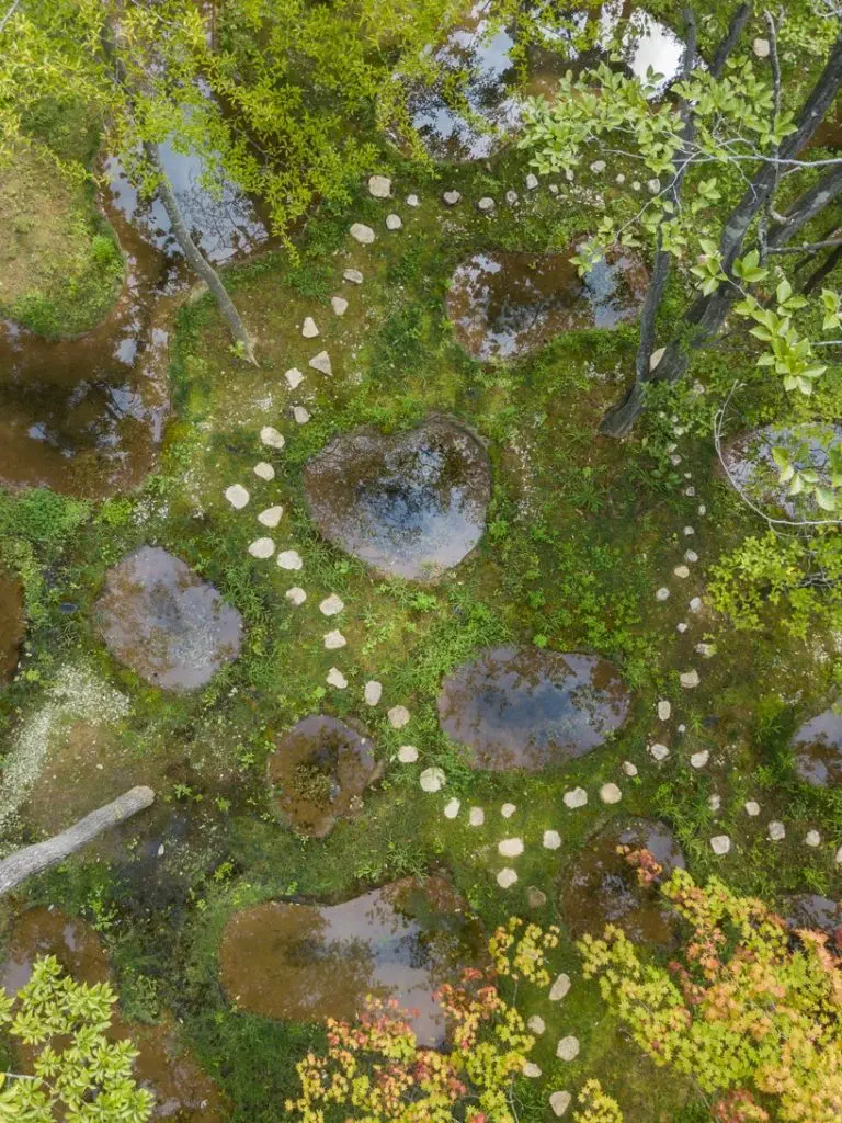 w ogrodzie junya-ishigami-associates-art-biotop-water-garden_04