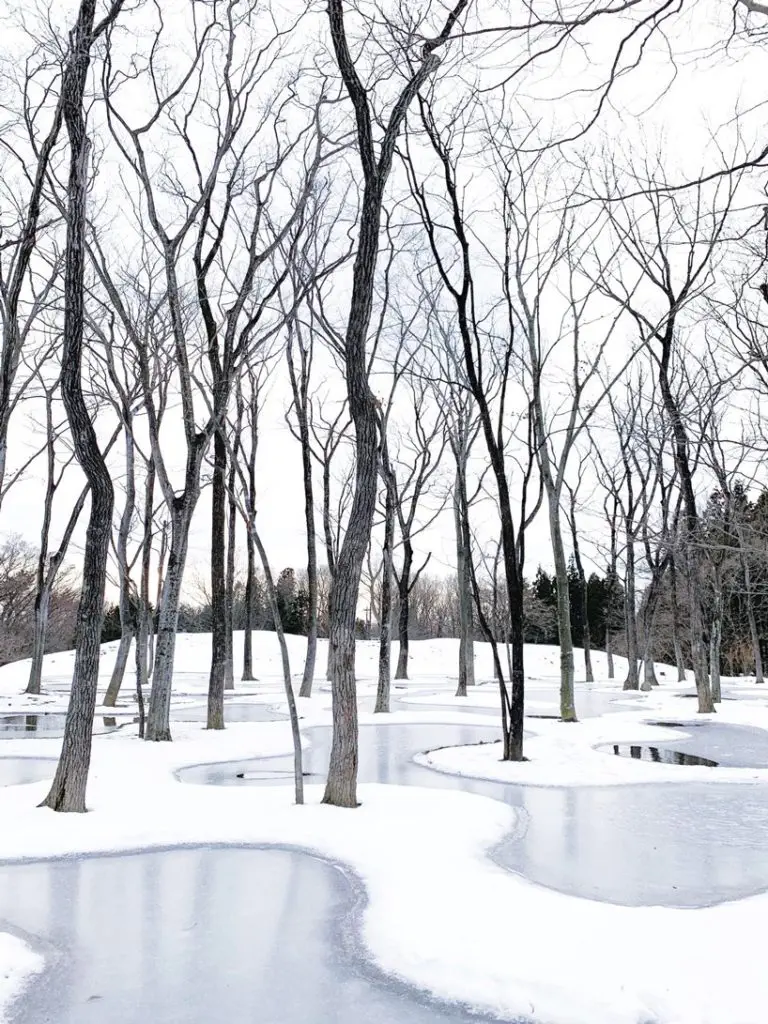 w ogrodzie junya-ishigami-associates-art-biotop-water-garden_03