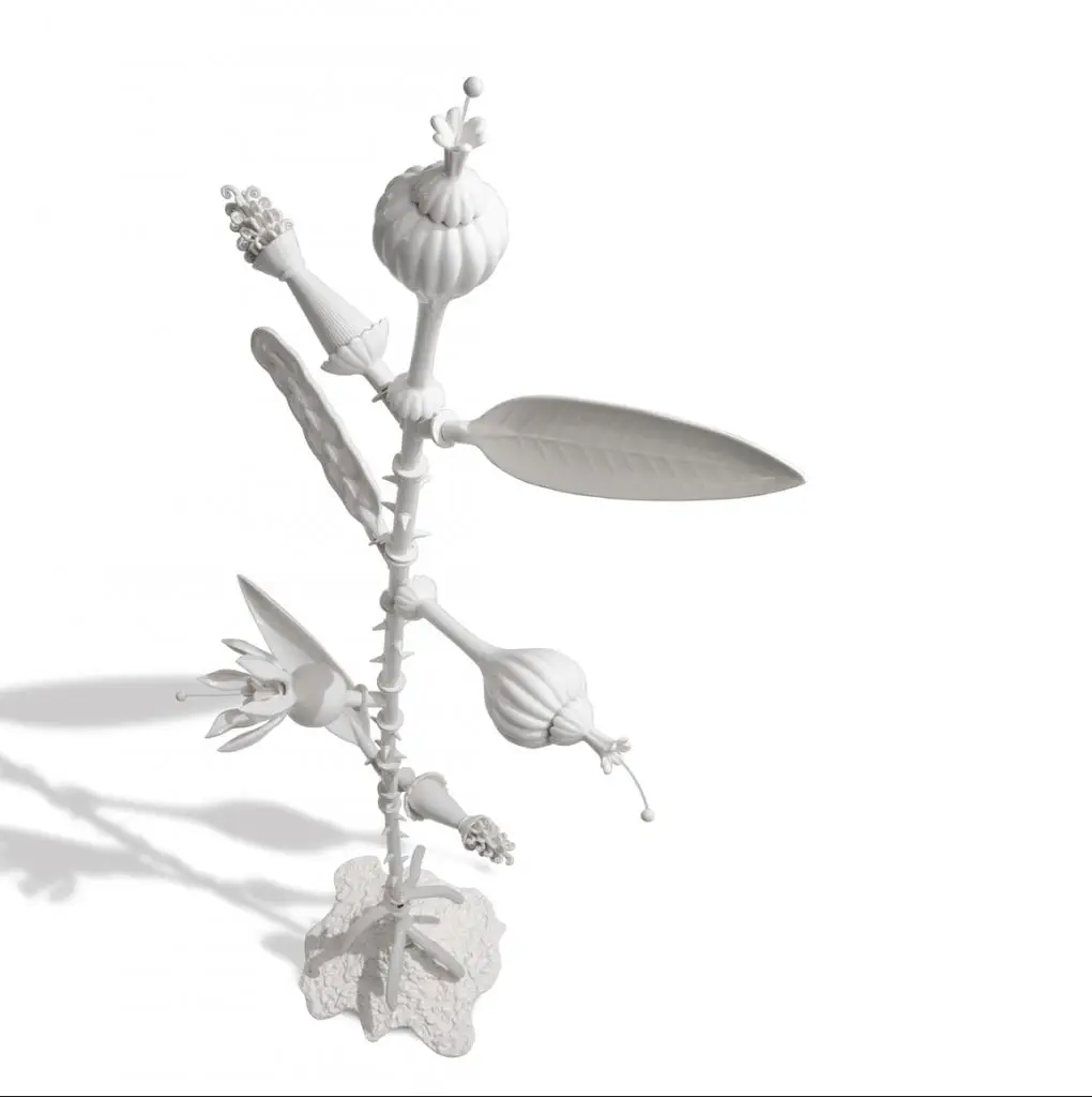 Giorgetti | Amazonia | design: Roberto Cambi 2020