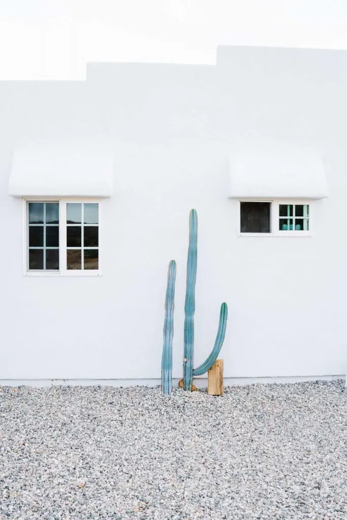 carlos-naude-casa-mami-working-holiday-studio-09